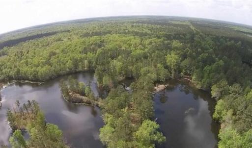 Photo of SOLD!!  445 Acres of Hunting Land with Home For Sale in Bamberg County SC!