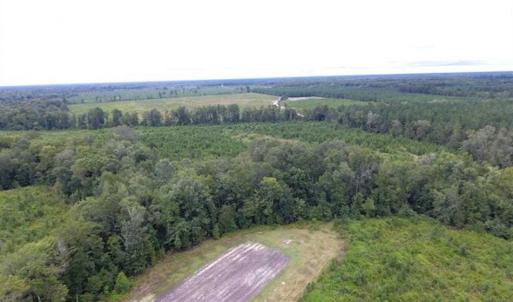 Photo of SOLD!!  445 Acres of Hunting Land with Home For Sale in Bamberg County SC!