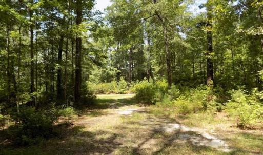 Photo of SOLD!!  445 Acres of Hunting Land with Home For Sale in Bamberg County SC!