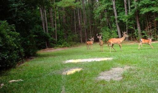 Photo of SOLD!!  445 Acres of Hunting Land with Home For Sale in Bamberg County SC!