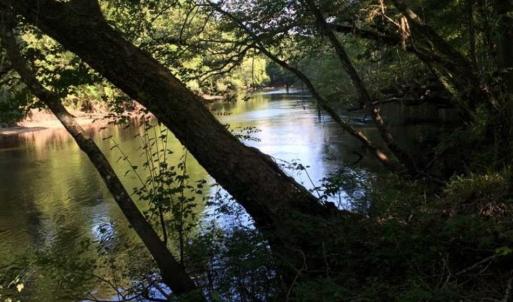 Photo of SOLD!!  445 Acres of Hunting Land with Home For Sale in Bamberg County SC!