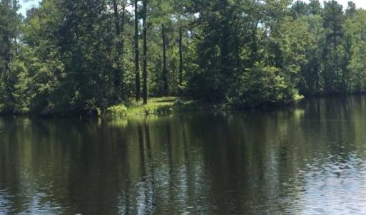 Photo of SOLD!!  445 Acres of Hunting Land with Home For Sale in Bamberg County SC!