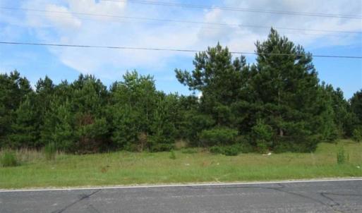 Photo of SOLD!!  44 Acres of Residential Land in Robeson County NC!