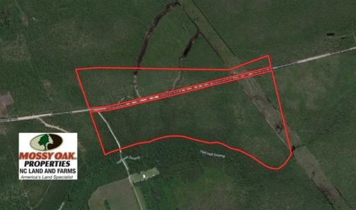 Photo of SOLD!!  88.76 Acres of Hunting and Timber Land for Sale in Brunswick County NC!