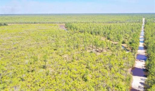 Photo of SOLD!!  88.76 Acres of Hunting and Timber Land for Sale in Brunswick County NC!