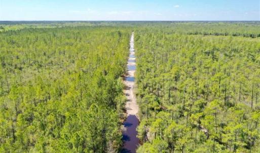 Photo of SOLD!!  88.76 Acres of Hunting and Timber Land for Sale in Brunswick County NC!