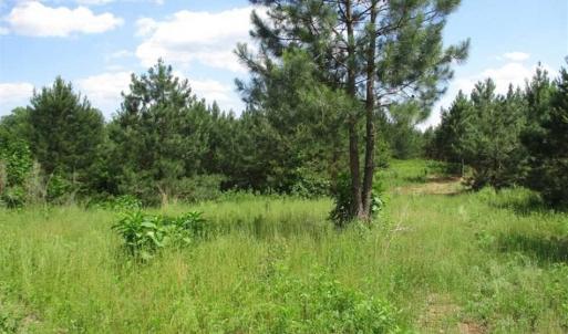 Photo of 102 Acres of Timber and Hunting Land in King and Queen Co. VA!