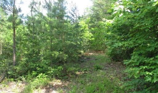 Photo of 102 Acres of Timber and Hunting Land in King and Queen Co. VA!