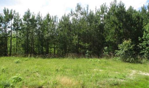Photo of 102 Acres of Timber and Hunting Land in King and Queen Co. VA!