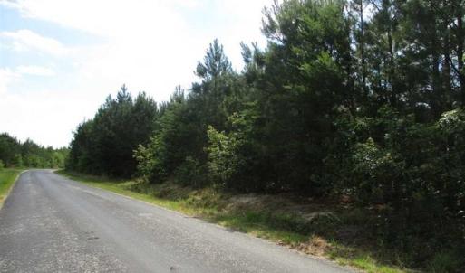 Photo of 102 Acres of Timber and Hunting Land in King and Queen Co. VA!