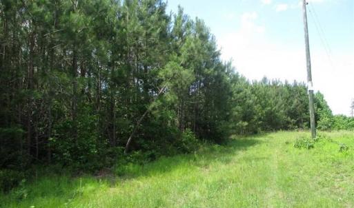 Photo of 102 Acres of Timber and Hunting Land in King and Queen Co. VA!