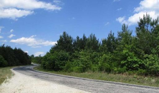 Photo of 102 Acres of Timber and Hunting Land in King and Queen Co. VA!