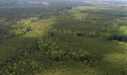 Photo of 102 Acres of Timber and Hunting Land in King and Queen Co. VA!