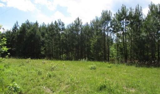 Photo of 102 Acres of Timber and Hunting Land in King and Queen Co. VA!