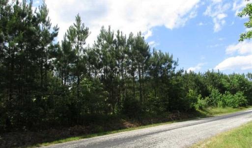 Photo of 102 Acres of Timber and Hunting Land in King and Queen Co. VA!