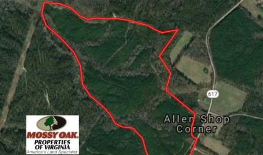 Photo of 102 Acres of Timber and Hunting Land in King and Queen Co. VA!