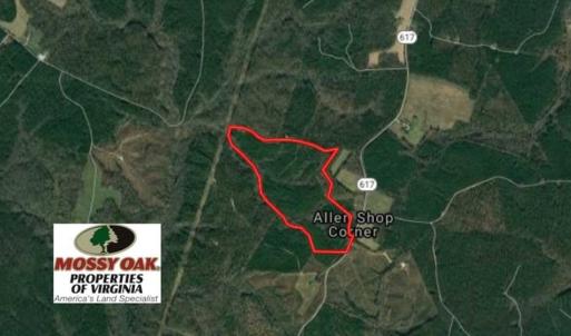 Photo of 102 Acres of Timber and Hunting Land in King and Queen Co. VA!