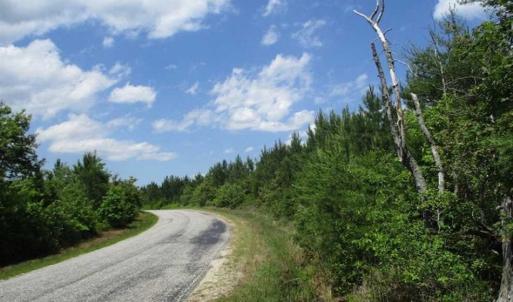 Photo of 98 Acres of Timber and Hunting Land for Sale in King and Queen Co. VA!