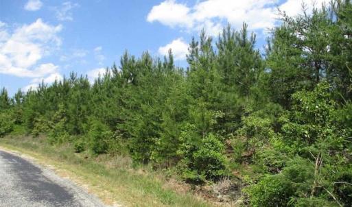 Photo of 98 Acres of Timber and Hunting Land for Sale in King and Queen Co. VA!