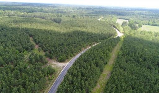 Photo of 98 Acres of Timber and Hunting Land for Sale in King and Queen Co. VA!