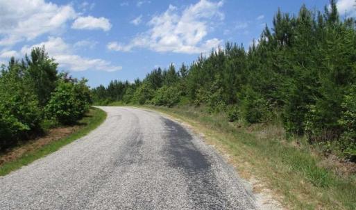 Photo of 98 Acres of Timber and Hunting Land for Sale in King and Queen Co. VA!