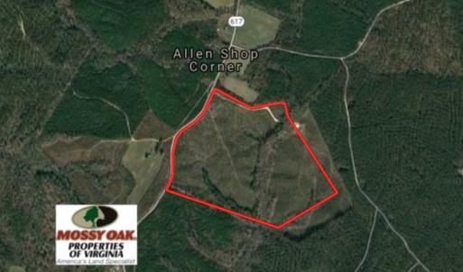 Photo of 98 Acres of Timber and Hunting Land for Sale in King and Queen Co. VA!