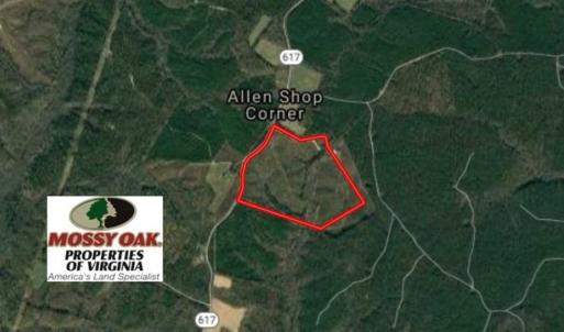 Photo of 98 Acres of Timber and Hunting Land for Sale in King and Queen Co. VA!