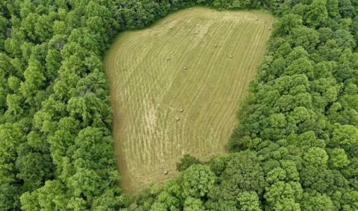 Photo of SOLD!!  54 Acres of Hunting and Recreational Land For Sale in Franklin County VA!