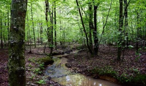 Photo of SOLD!!  54 Acres of Hunting and Recreational Land For Sale in Franklin County VA!