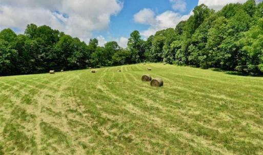 Photo of SOLD!!  54 Acres of Hunting and Recreational Land For Sale in Franklin County VA!
