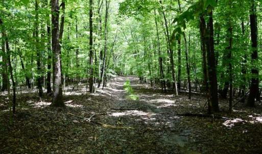 Photo of SOLD!!  54 Acres of Hunting and Recreational Land For Sale in Franklin County VA!