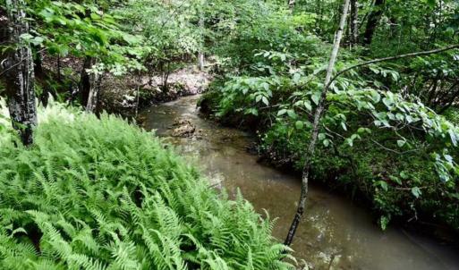 Photo of SOLD!!  54 Acres of Hunting and Recreational Land For Sale in Franklin County VA!