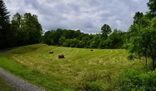 Photo of SOLD!!  54 Acres of Hunting and Recreational Land For Sale in Franklin County VA!