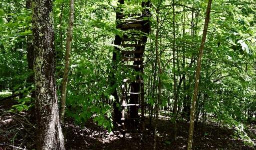 Photo of SOLD!!  54 Acres of Hunting and Recreational Land For Sale in Franklin County VA!