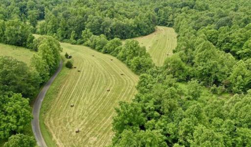Photo of SOLD!!  54 Acres of Hunting and Recreational Land For Sale in Franklin County VA!