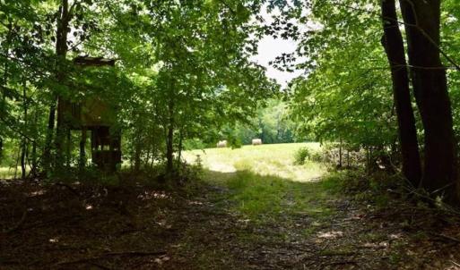 Photo of SOLD!!  54 Acres of Hunting and Recreational Land For Sale in Franklin County VA!
