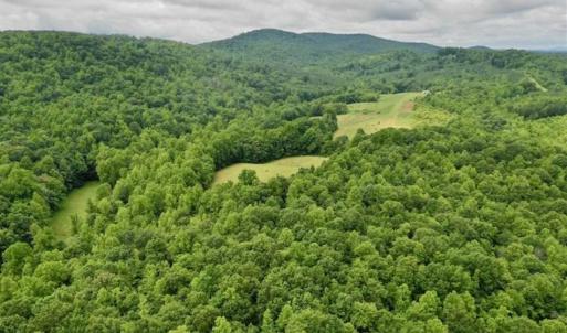 Photo of SOLD!!  54 Acres of Hunting and Recreational Land For Sale in Franklin County VA!
