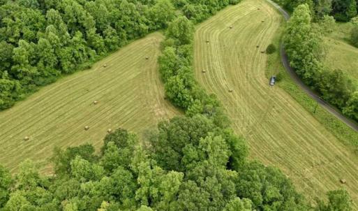 Photo of SOLD!!  54 Acres of Hunting and Recreational Land For Sale in Franklin County VA!