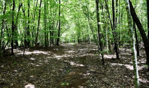 Photo of SOLD!!  54 Acres of Hunting and Recreational Land For Sale in Franklin County VA!