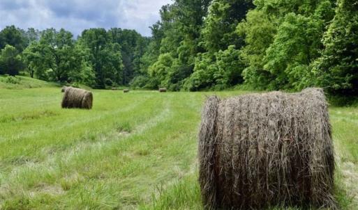 Photo of SOLD!!  54 Acres of Hunting and Recreational Land For Sale in Franklin County VA!