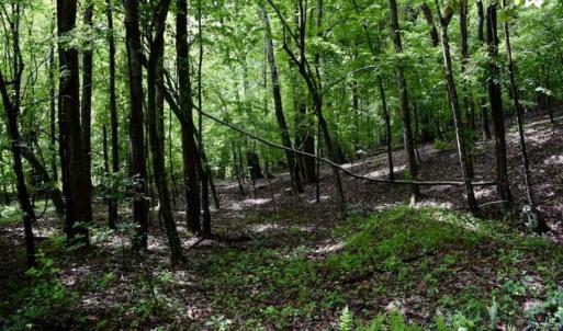 Photo of SOLD!!  54 Acres of Hunting and Recreational Land For Sale in Franklin County VA!