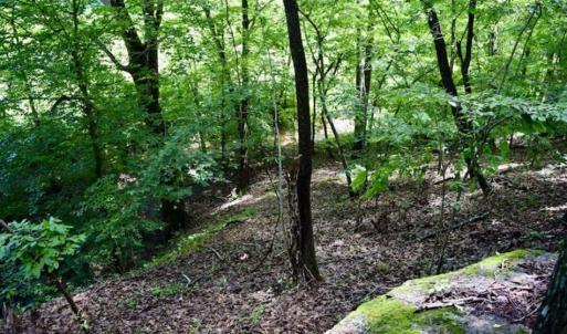 Photo of SOLD!!  54 Acres of Hunting and Recreational Land For Sale in Franklin County VA!