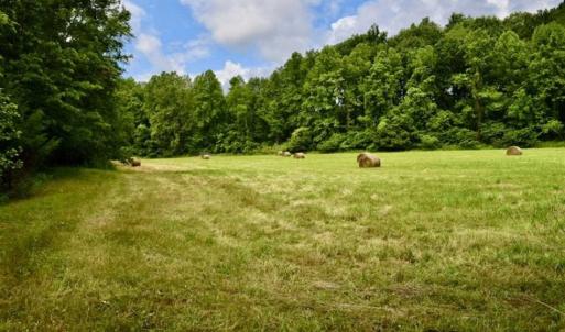 Photo of SOLD!!  54 Acres of Hunting and Recreational Land For Sale in Franklin County VA!