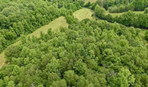 Photo of SOLD!!  54 Acres of Hunting and Recreational Land For Sale in Franklin County VA!