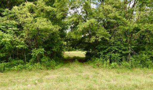 Photo of SOLD!!  54 Acres of Hunting and Recreational Land For Sale in Franklin County VA!