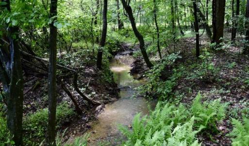 Photo of SOLD!!  54 Acres of Hunting and Recreational Land For Sale in Franklin County VA!
