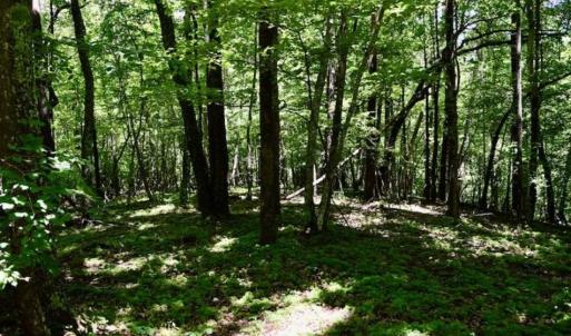 Photo of SOLD!!  54 Acres of Hunting and Recreational Land For Sale in Franklin County VA!