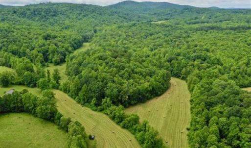 Photo of SOLD!!  54 Acres of Hunting and Recreational Land For Sale in Franklin County VA!