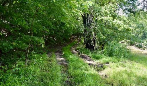 Photo of SOLD!!  54 Acres of Hunting and Recreational Land For Sale in Franklin County VA!