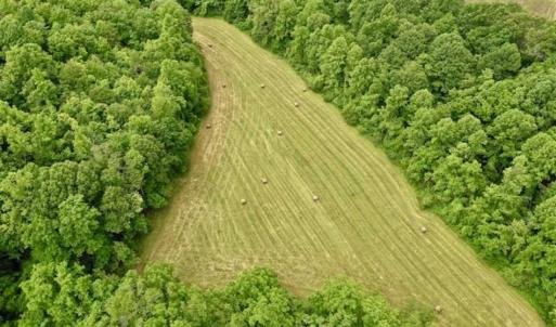 Photo of SOLD!!  54 Acres of Hunting and Recreational Land For Sale in Franklin County VA!